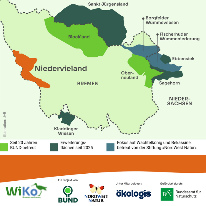 WiKo Projektkarte mit Fokus auf das Niedervieland