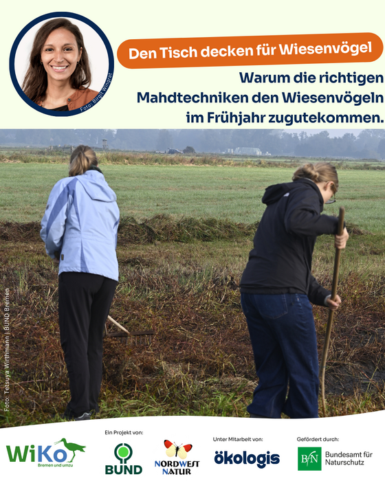 Harkende Unterstützung