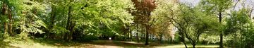 Lehnhof Park auch Friedehorst Park genannt, es ist ein Kleinod in Bremen St.Magnus /Lesum 