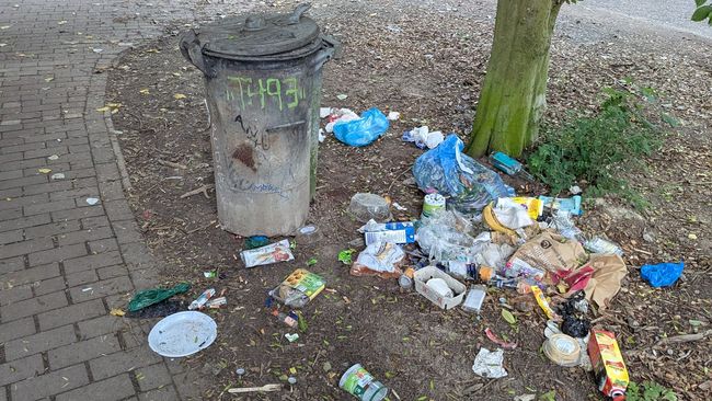 Überquellender Mülleimer am Unisee