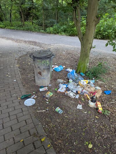 Überquellender Mülleimer am Unisee