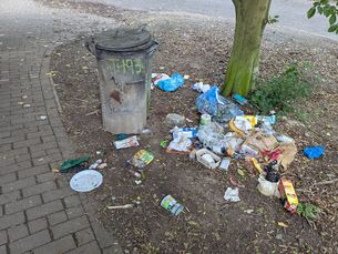 Überquellender Mülleimer am Unisee