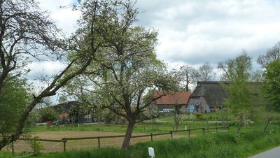 Obstwiese auf dem Hof Bavendamm