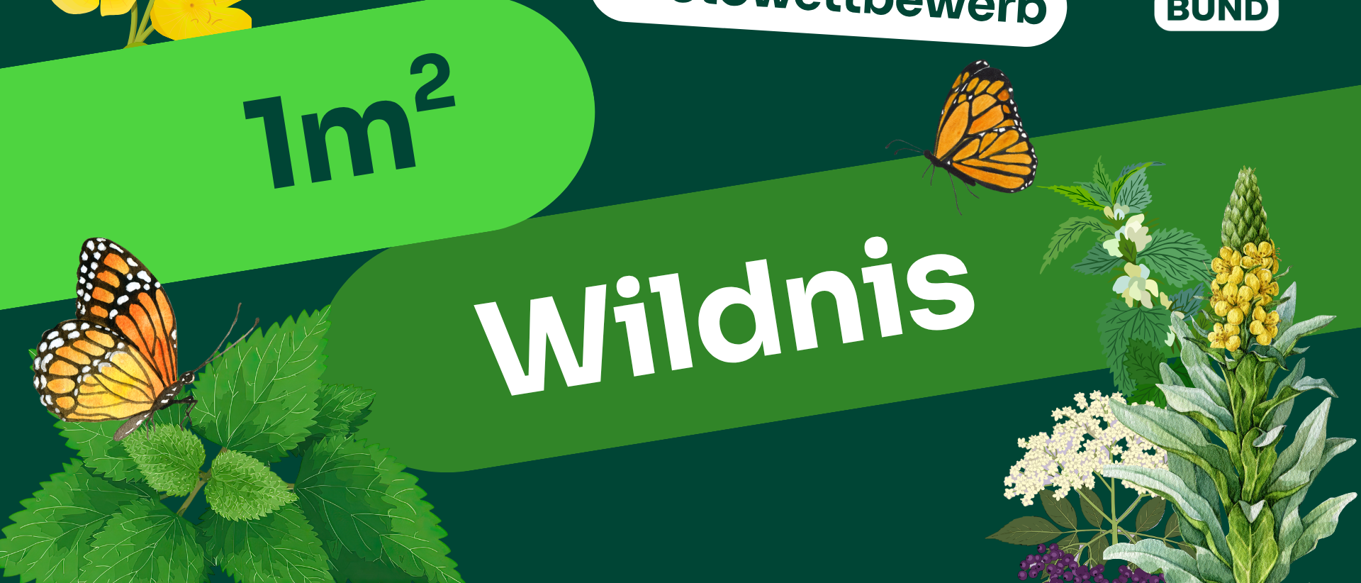Mein Quadratmeter Wildnis