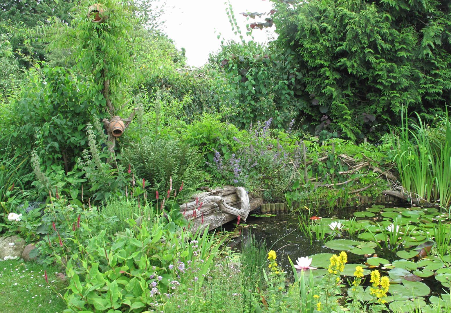 Naturgarten mit Teich