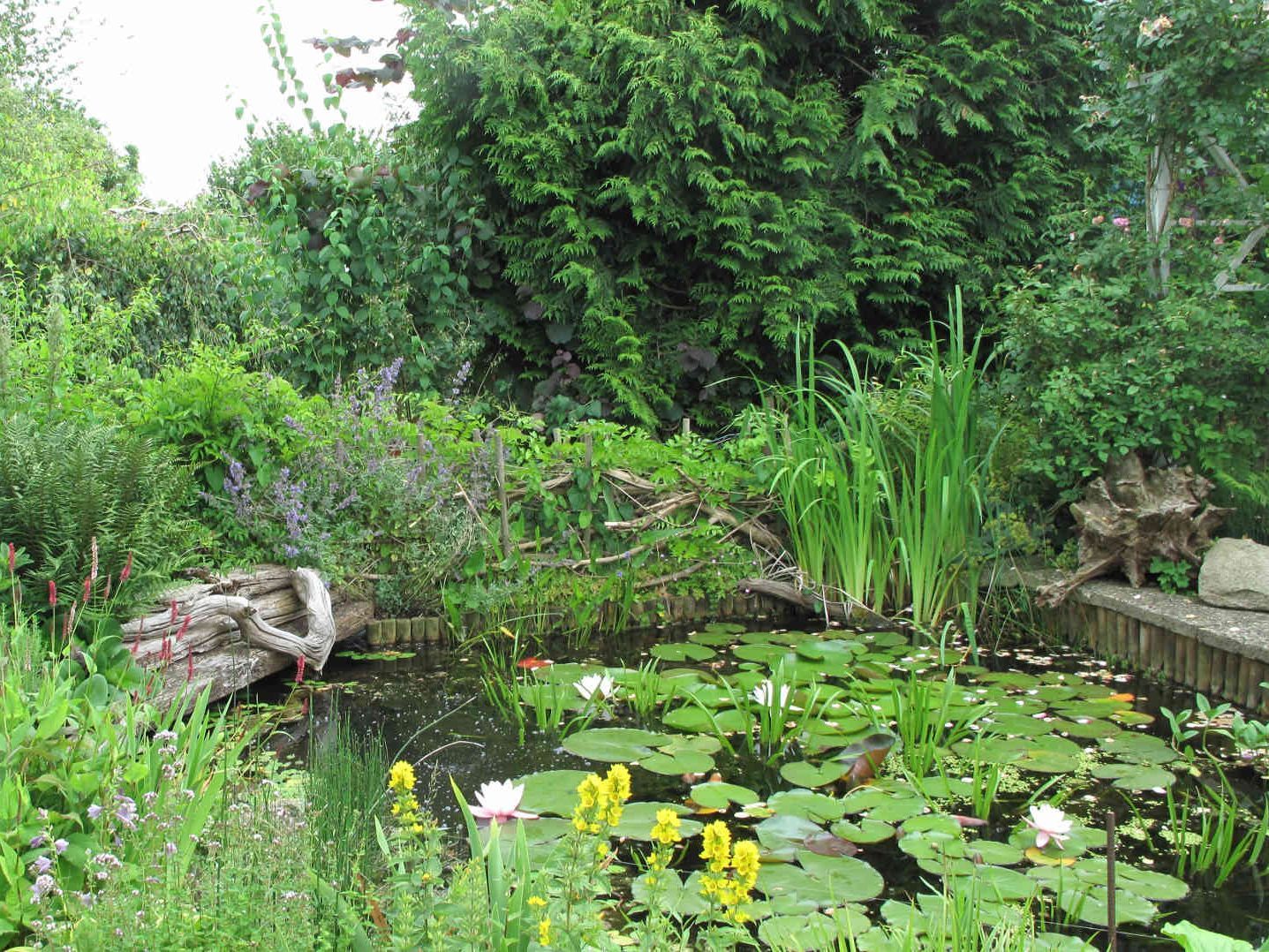 Naturgarten mit Teich