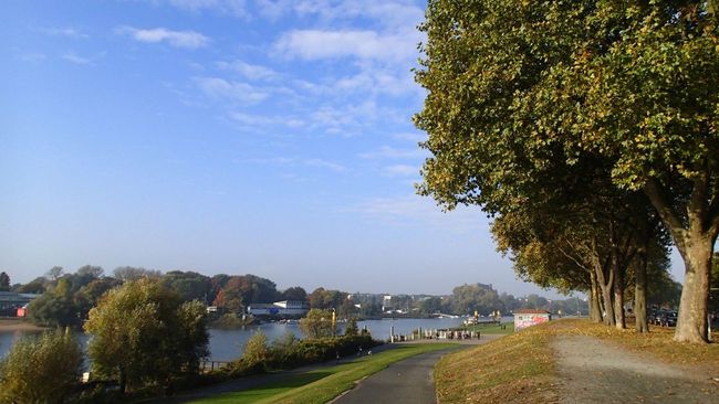 Baumallee am Osterdeich