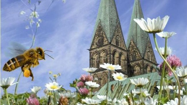 Bremen blüht auf