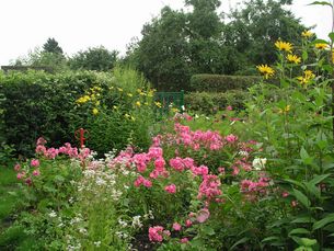 Blumen