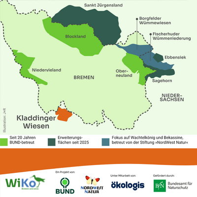 WiKo Projektkarte mit Fokus auf die Kladdinger Wiesen.