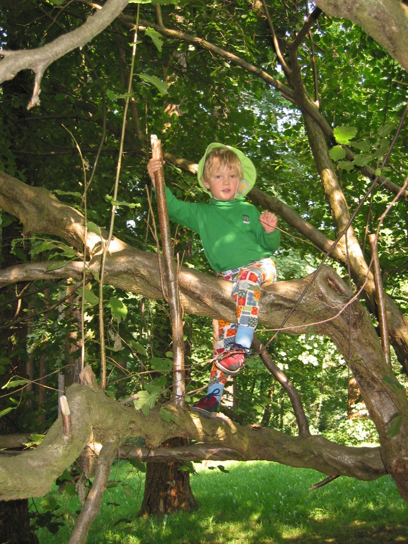 Im Waldkindergarten klettert man gerne auf Bäume.