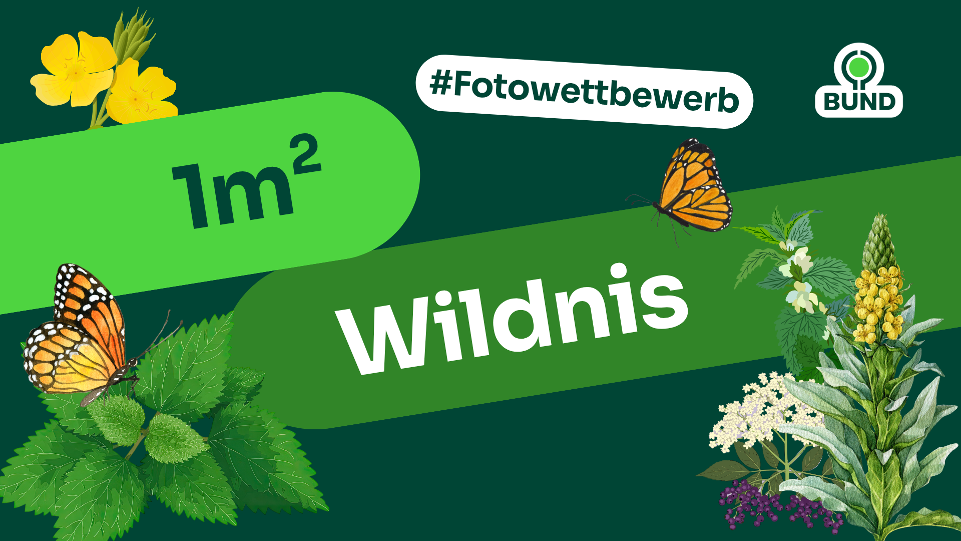 Mein Quadratmeter Wildnis